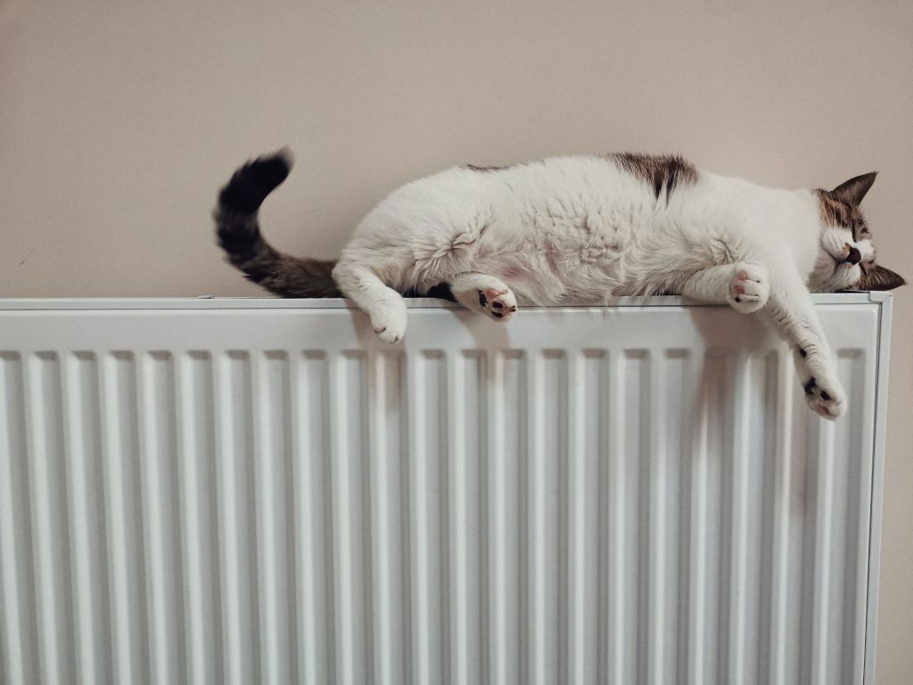 Konvektor oder Radiator – Was ist der Unterschied und was ist besser?