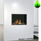 Wander Gaskamin  DANTA 500 Kamineinsatz 6,8 kW Propan- oder Erdgas | alt