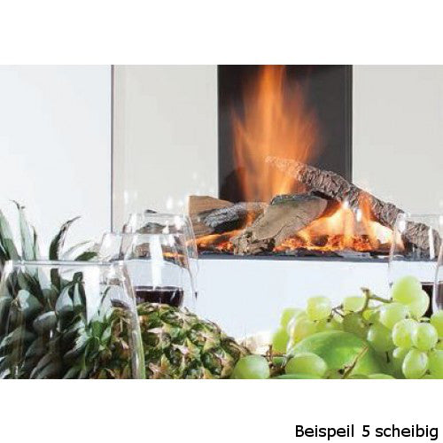  Gaskamin Wanders Danta 500 5-scheibig