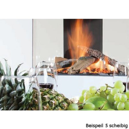  Gaskamin Wanders Danta 500 5-scheibig