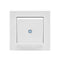 Homematic IP Wandtaster – 2-fach | eQ-3 | HmIP-WRC2-2 | weiß
