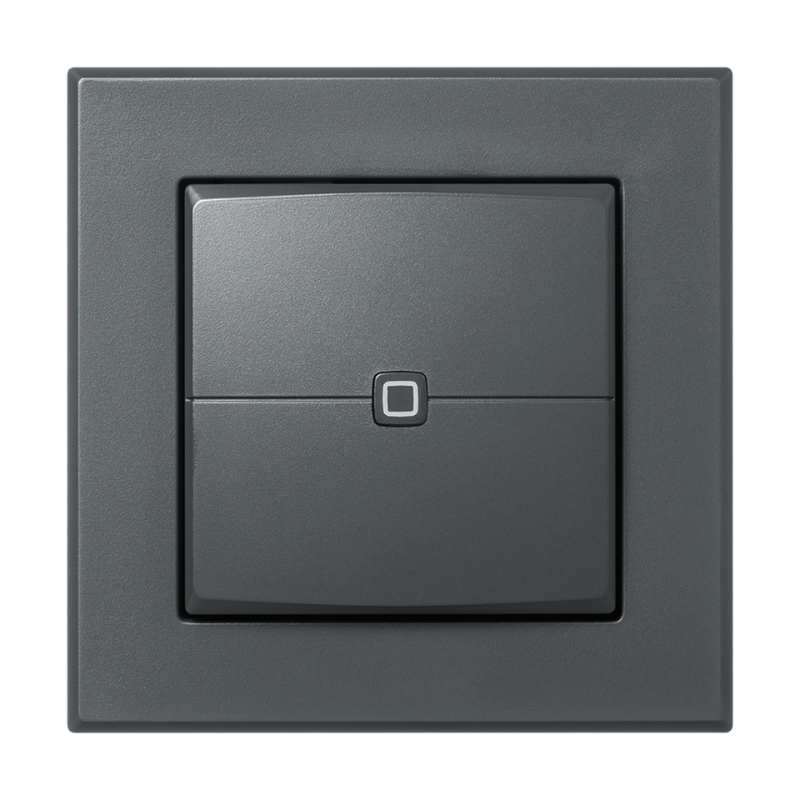 Homematic IP Wired Wandtaster - 2-fach - anthrazit | eQ-3 | HmIPW-WRC2-A | klimaworlv.com