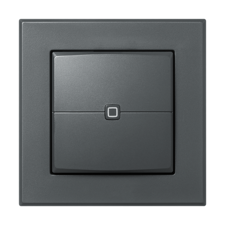Homematic IP Wired Wandtaster - 2-fach - anthrazit | eQ-3 | HmIPW-WRC2-A | klimaworlv.com