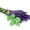 Sentiotec Dampfbadduft Lavendel Melisse | A-120-LM | 5 l
