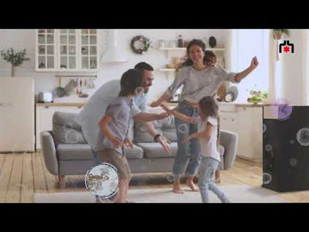 Das innovative Airkare-System führt eine kombinierte Wirkung, die zur Verbesserung der Qualität der Haushaltsluft beiträgt. 
https://www.edilkamin.com/de/homepage